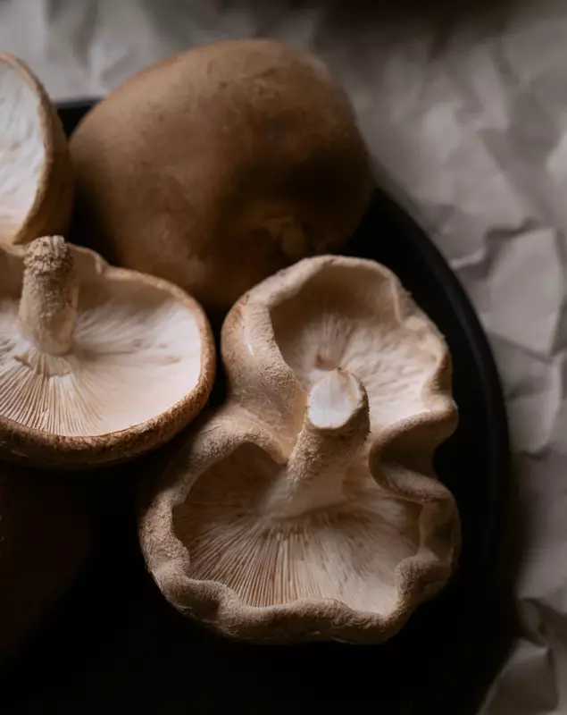 Shiitake Mushrooms - Shroomery