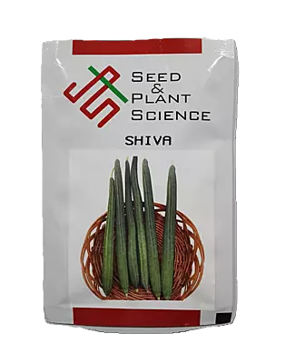 SHIVA (F1 HYBRID RIDGEGOURD) by INDUS SEEDS