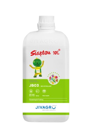 SIAPTON 10L by Jivagro