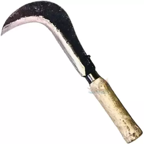 Mangalorean Sickle | Coconut Cutting Knife | Katthi