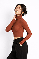 Ribbed Cropped Turtleneck Top