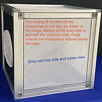 window entry and exit trap for the study of endophilic behavior of mosquitoes