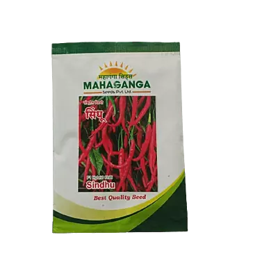 Chilli Sindhu