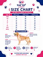 Navratri Special Red Lehenga Choli for Pets