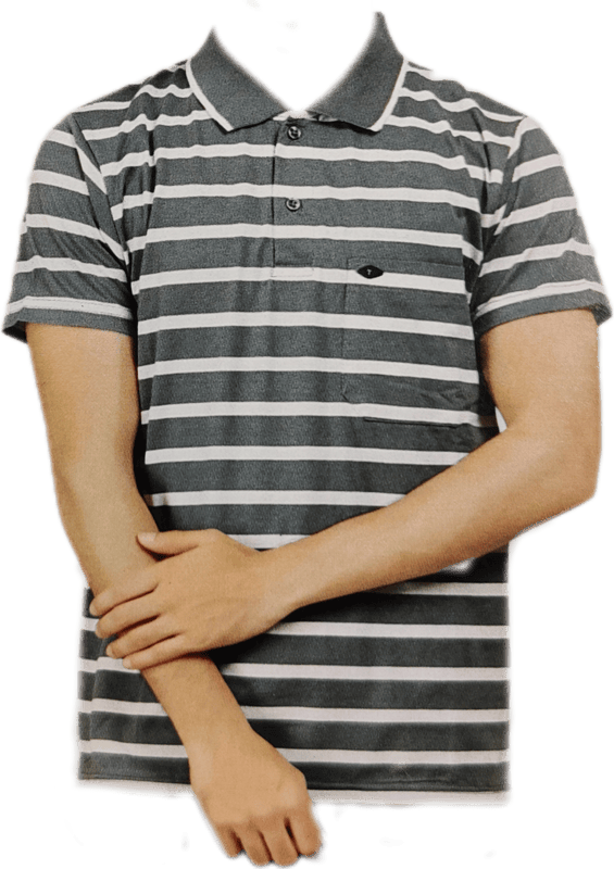 Polo Stripes Tshirt