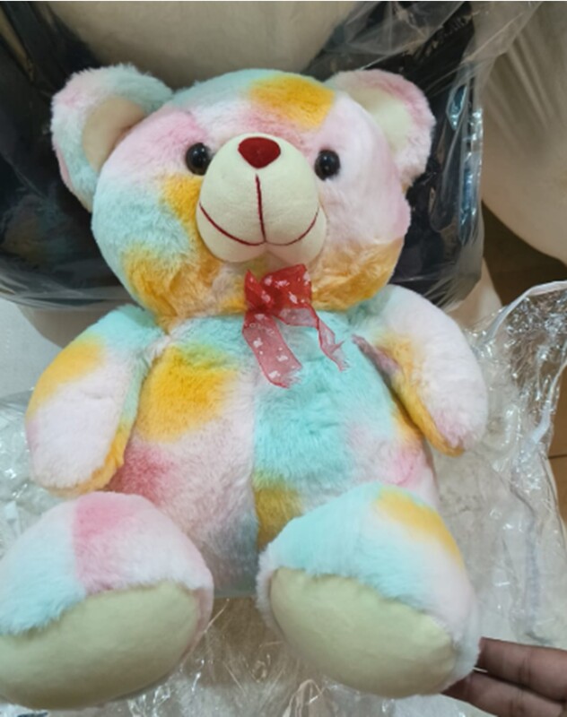 Rainbow Teddy