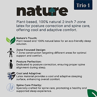 Neev Indulge 8 Inches Mattress Neev Indulge 8 Inches Mattress