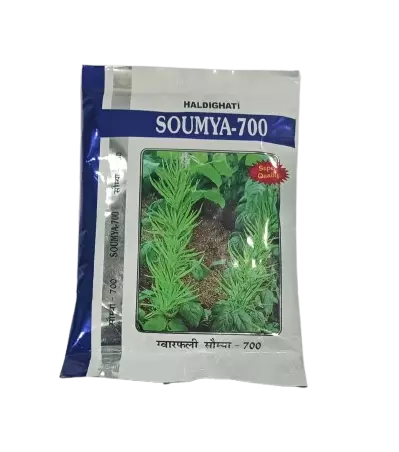 Haldighati Soumya Guar 700 (Cluster Bean) Seeds