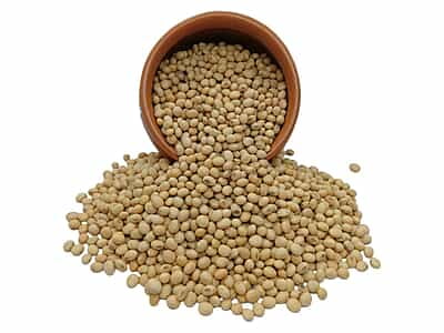 Organic Soya Bean Organic Soya Bean