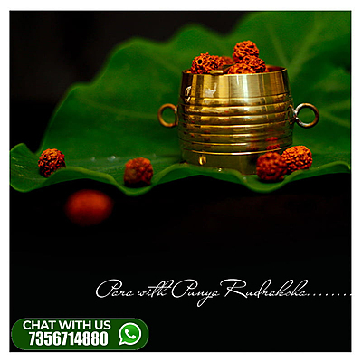 Special Para-with-Punya-Rudraksha