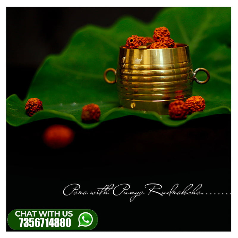 Special Para-with-Punya-Rudraksha