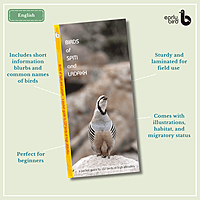 Early Bird Pocket Guides - Bulk Purchase of 50 Early Bird Pocket Guides - Bulk Purchase of 50