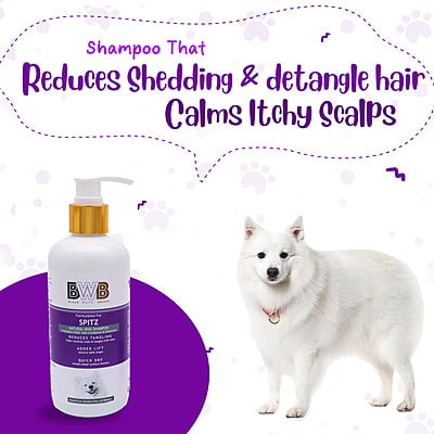BWB SPITZ SHAMPOO
