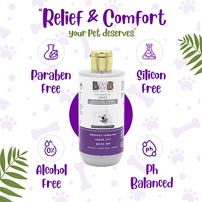 BWB SPITZ SHAMPOO_COMBO PACK_250 ml +250 ml