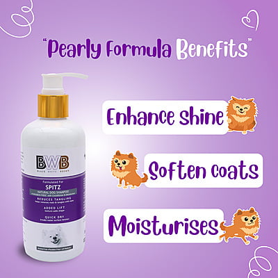 BWB SPITZ SHAMPOO