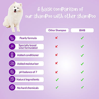 BWB SPITZ SHAMPOO