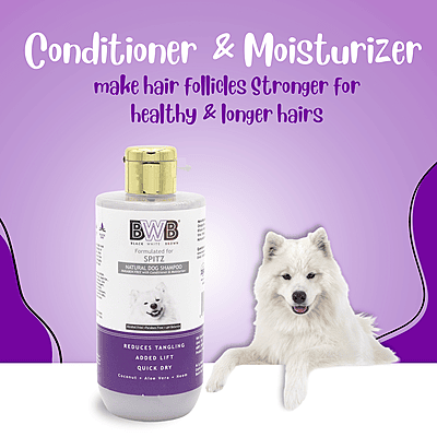 BWB SPITZ SHAMPOO_COMBO PACK_250 ml +250 ml