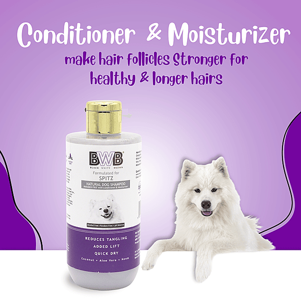 BWB SPITZ SHAMPOO_COMBO PACK_250 ml +250 ml