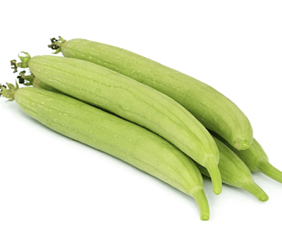 Sponge Guard Sponge Guard