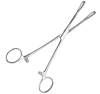 Sponge Holding Forceps (Foerster's, 6-10 inch)