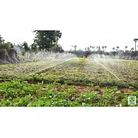Rain Pipe - 350 / 40 mm / 100 meter