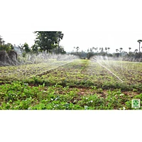 Rain Pipe - 350 / 40 mm / 100 meter