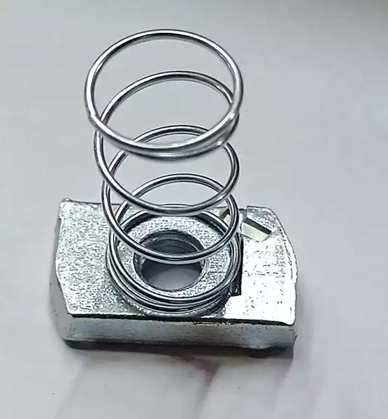 Spring Nuts8(Commercial Projects)