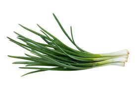 Spring Onion