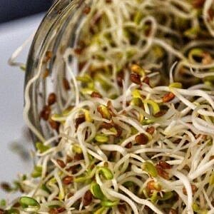 Spring Mix Sprouts 20 Gms