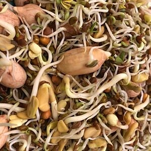 Spring Mix Sprouts With Peanuts 60 Gms