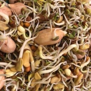 Spring Mix Sprouts With Peanuts 60 Gms