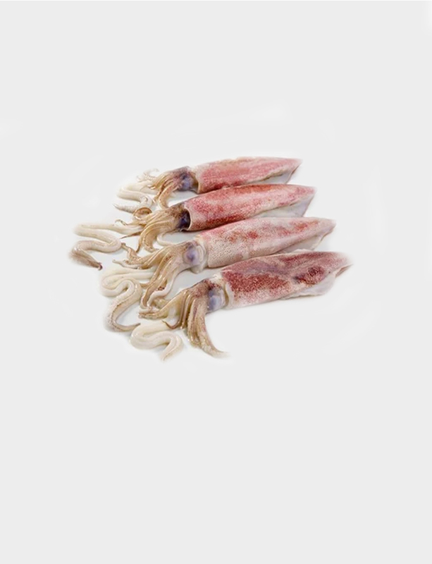 SQUID /KOONTHAL (WHOLE )- 500gm