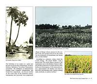 Sri Sarada Devi A Divine Life in Pictures (English) (Deluxe)