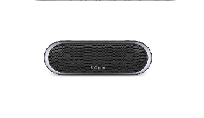 Sony Srs-Xb20g Portable Speaker