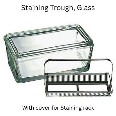 Staining Trough, Glass, with cover for Staining rack