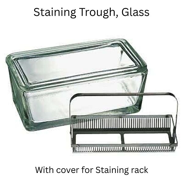 Staining Trough, Glass, with cover for Staining rack