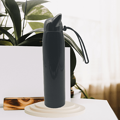 Stainless Steel Fox ear Thermal Water bottle Stainless Steel Fox ear Thermal Water bottle