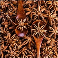 Star Anise