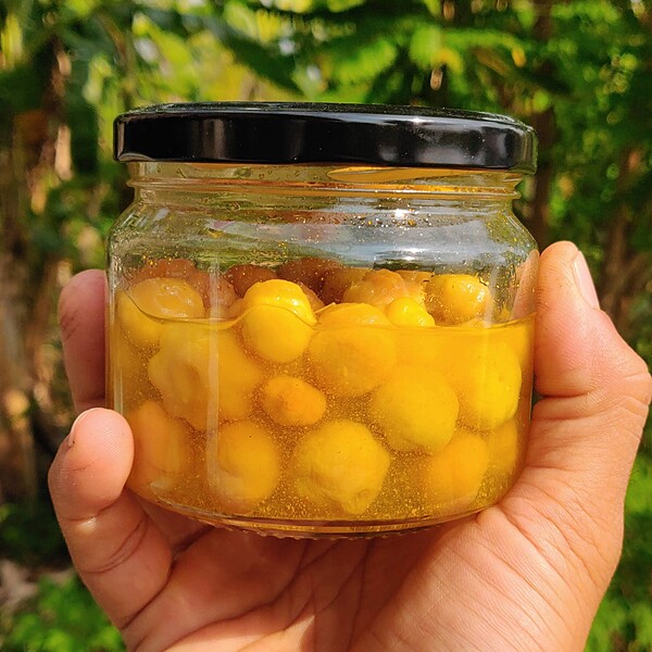 Star Gooseberry Brine Pickle