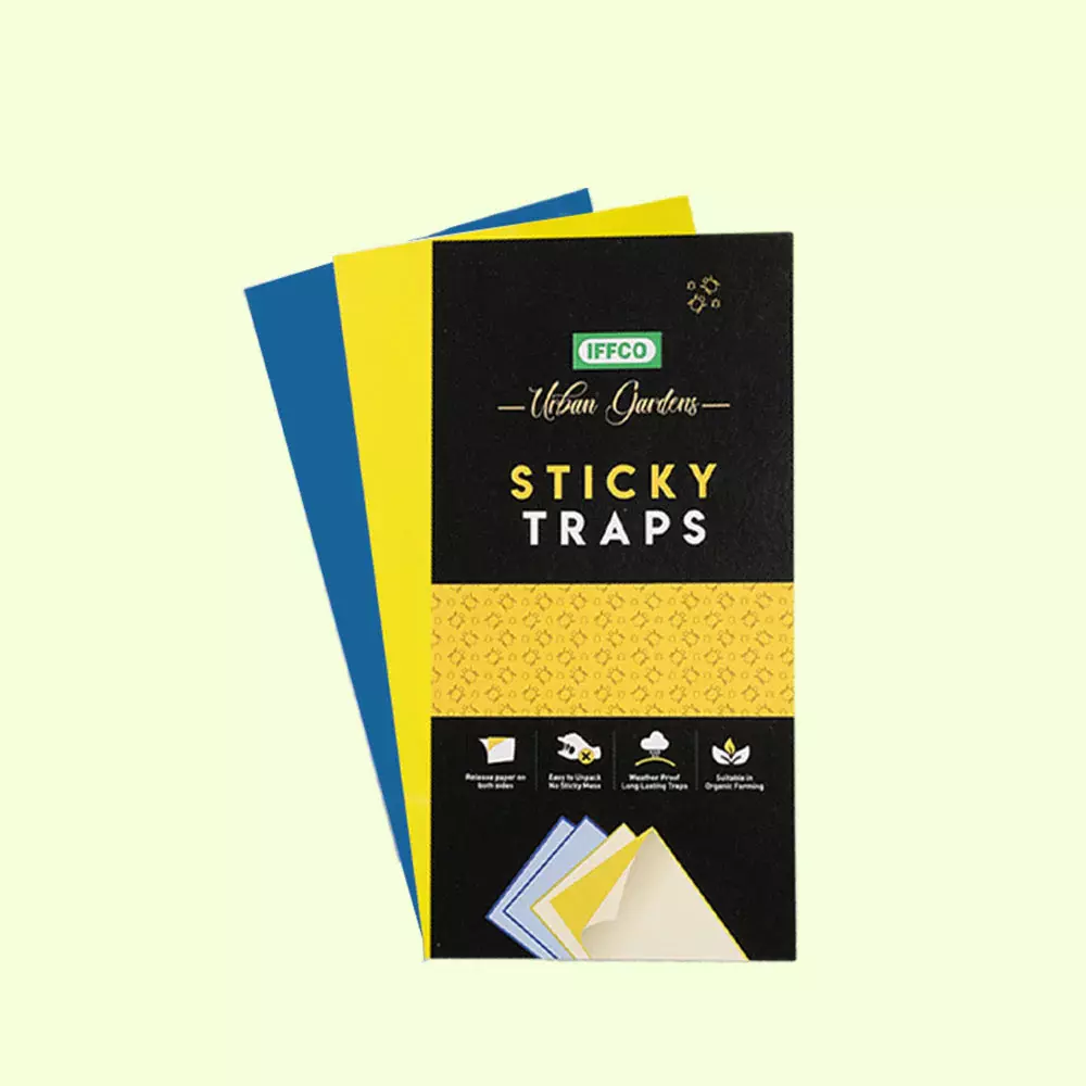 Sticky Traps - High-Quality, Durable Traps Pack of 10