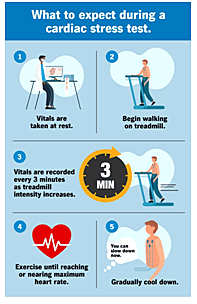 Stress Echocardiography System
