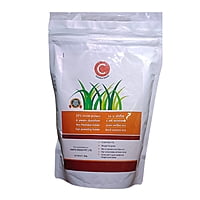 Subabul Fodder Seed - C Fodder Subabul(800 gm)