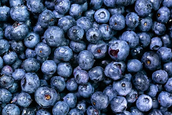 Blueberry Sun Lucia (125 gm)