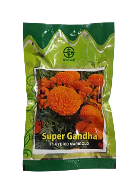 F1 Hybrid Marigold Super Gandha by Kaveri Seed Company Limited