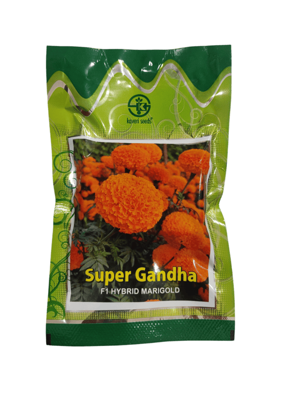 F1 Hybrid Marigold Super Gandha by Kaveri Seed Company Limited
