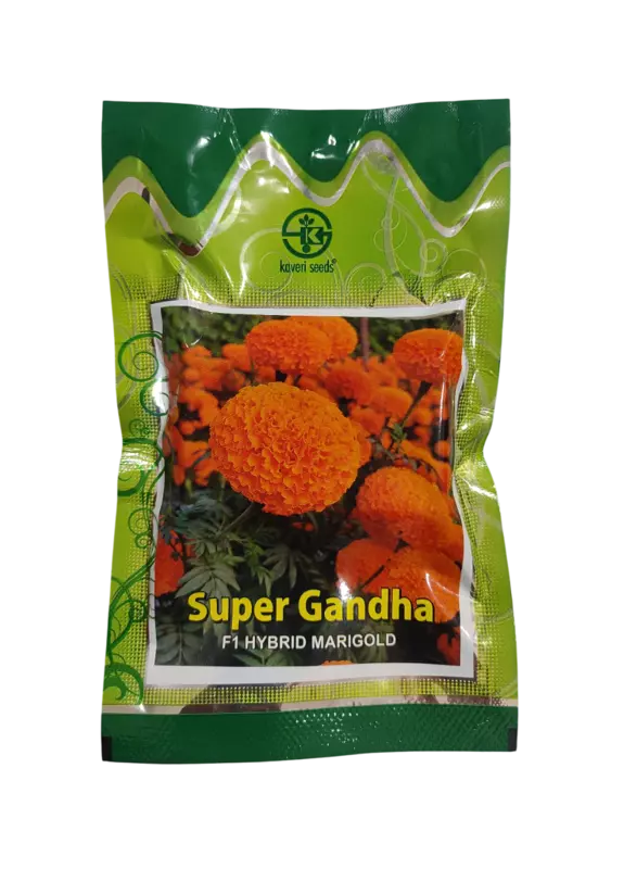 F1 Hybrid Marigold Super Gandha by Kaveri Seed Company Limited