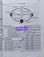 Sura Puviyiyal