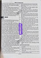 Sura UG TRB English 2026