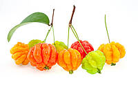 Fresh Surinam cherries