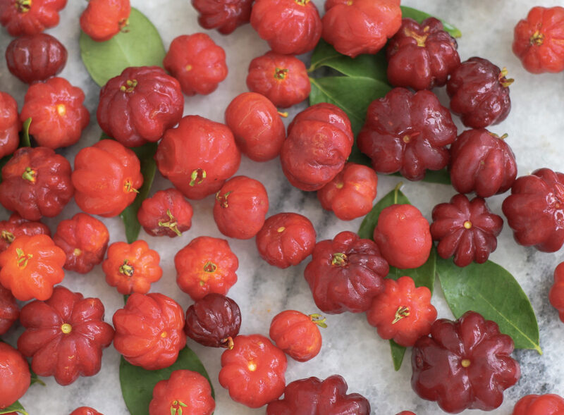 Fresh Surinam cherries